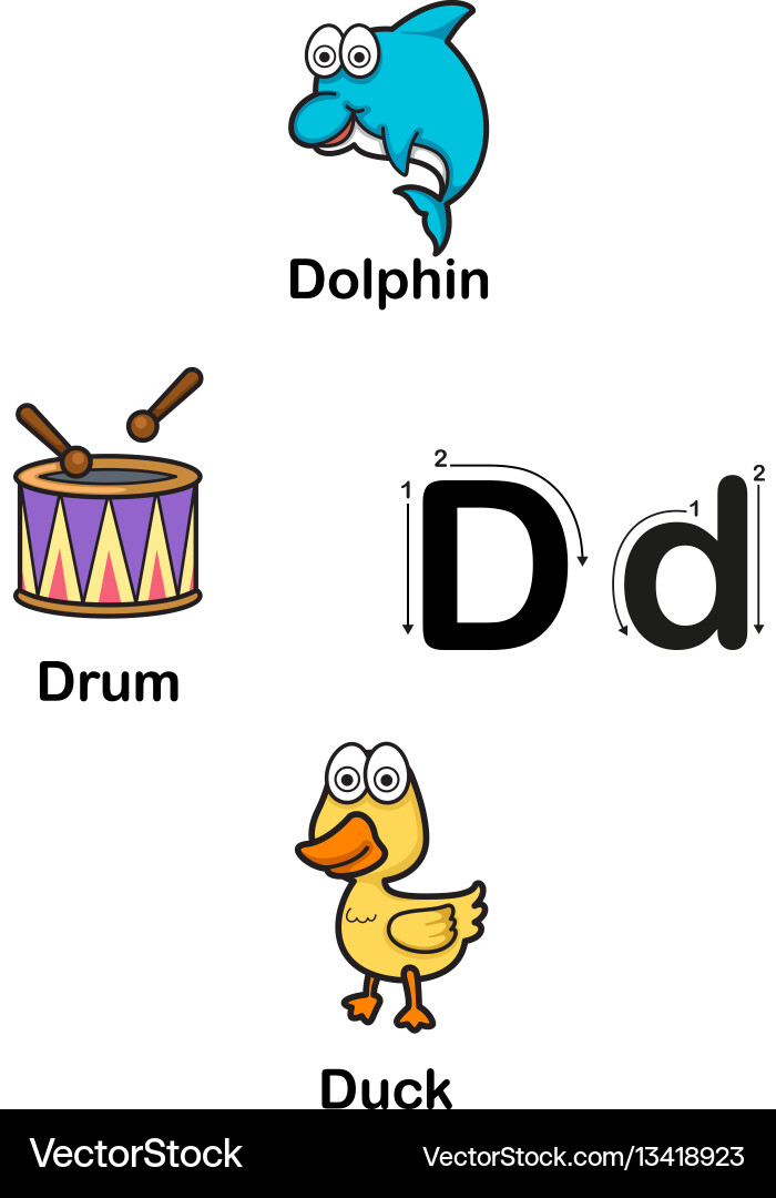 Alphabet letter d-dolphin drum duck Alphabet letter d-dolphin drum duck vector image