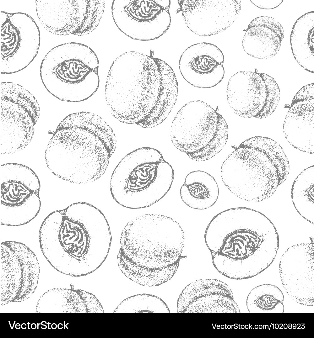Elegant Peach Sketch Pattern Vector Image