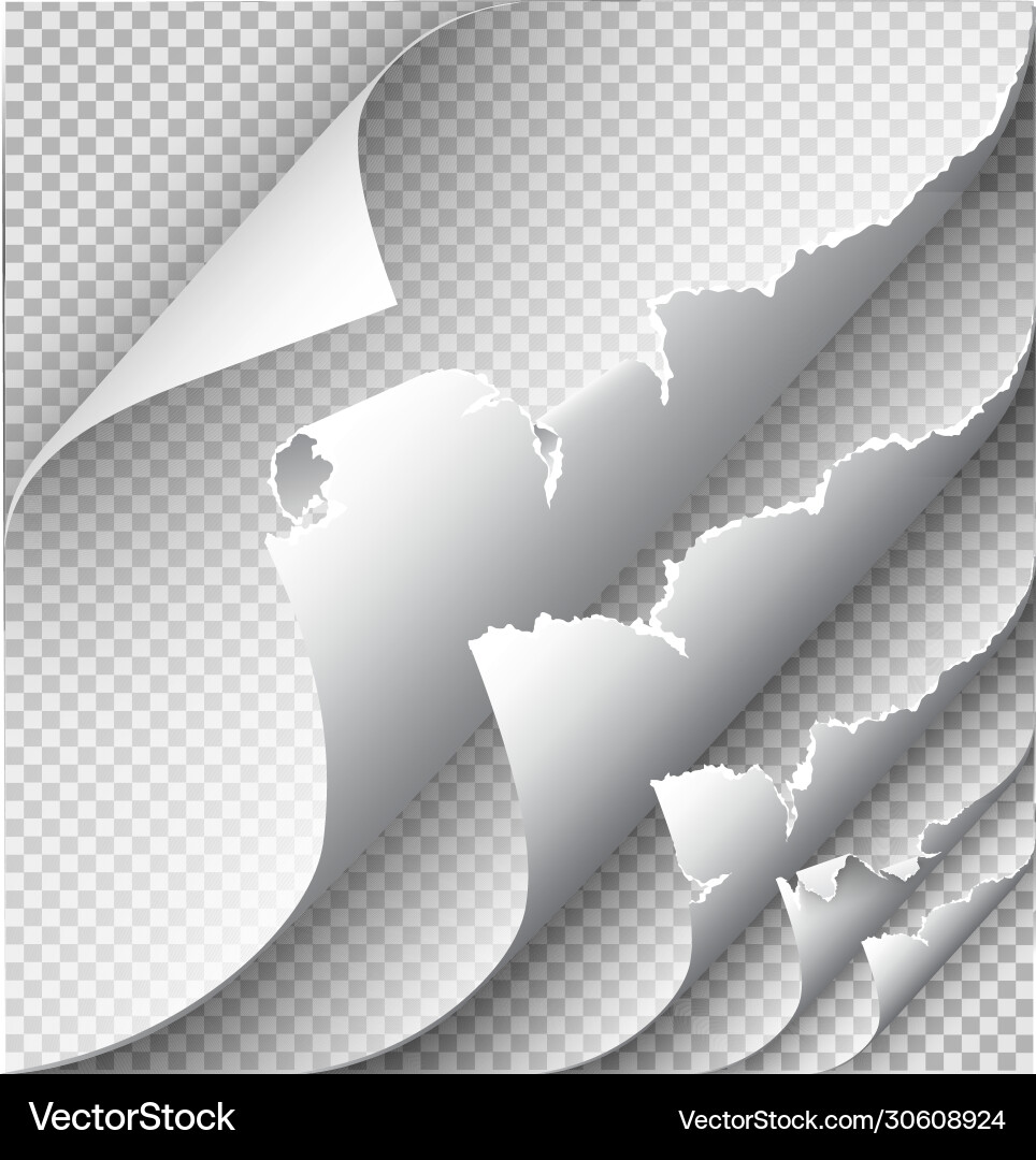 Page curl with shadow on blank sheet paper Page curl with shadow on blank sheet paper vector image