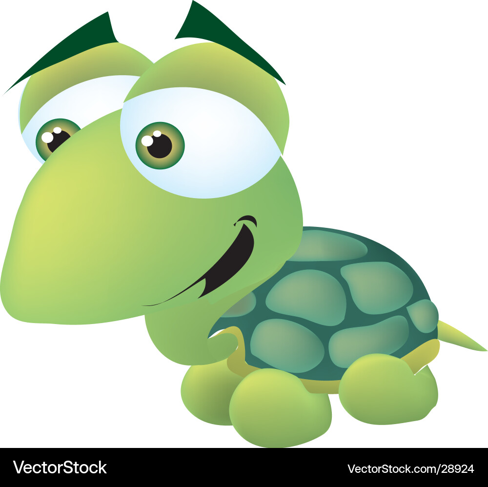 Smiling Young Turtle Vector Image