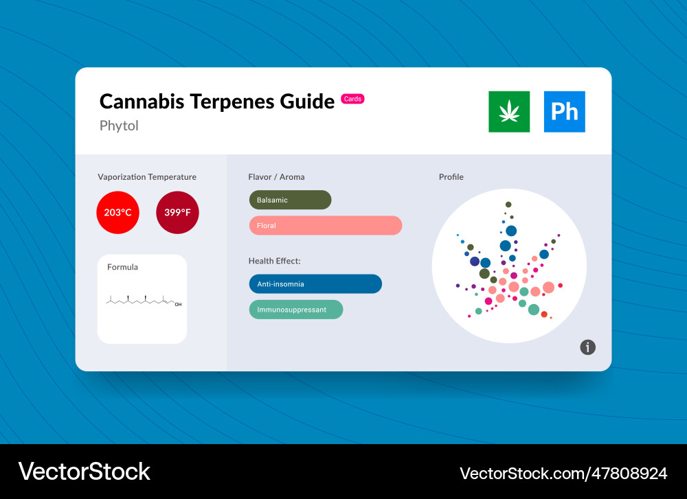 Ui Cannabis terpen Führer Informationen Diagramm Aroma Ui Cannabis terpen Führer Informationen Diagramm Aroma Vektorbild