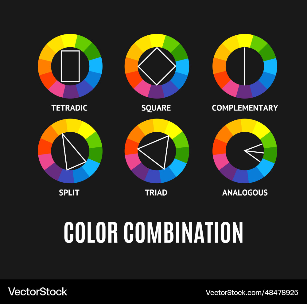 Different color circle palette combinations set Vector Image