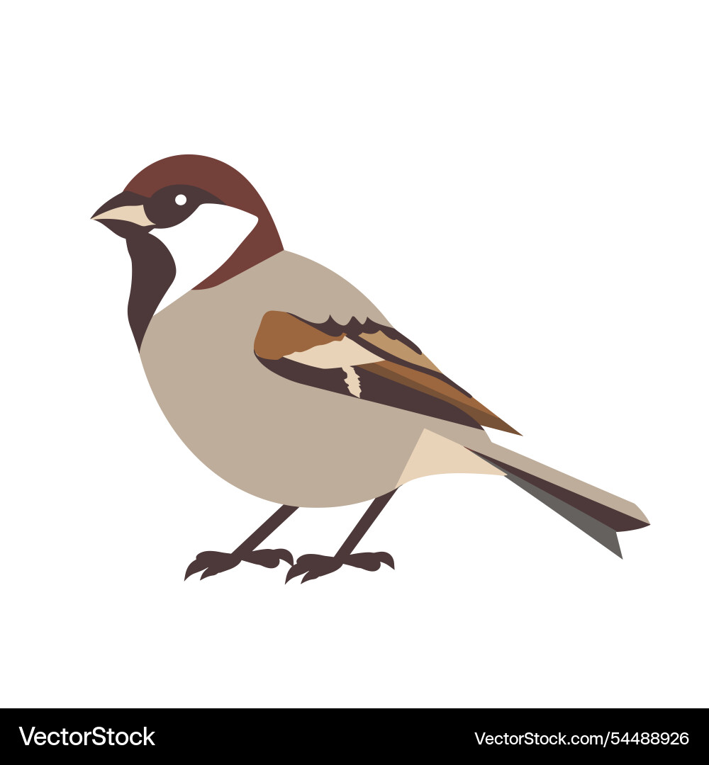 Sparrow perched on a branch in minimalistic art Vector Image