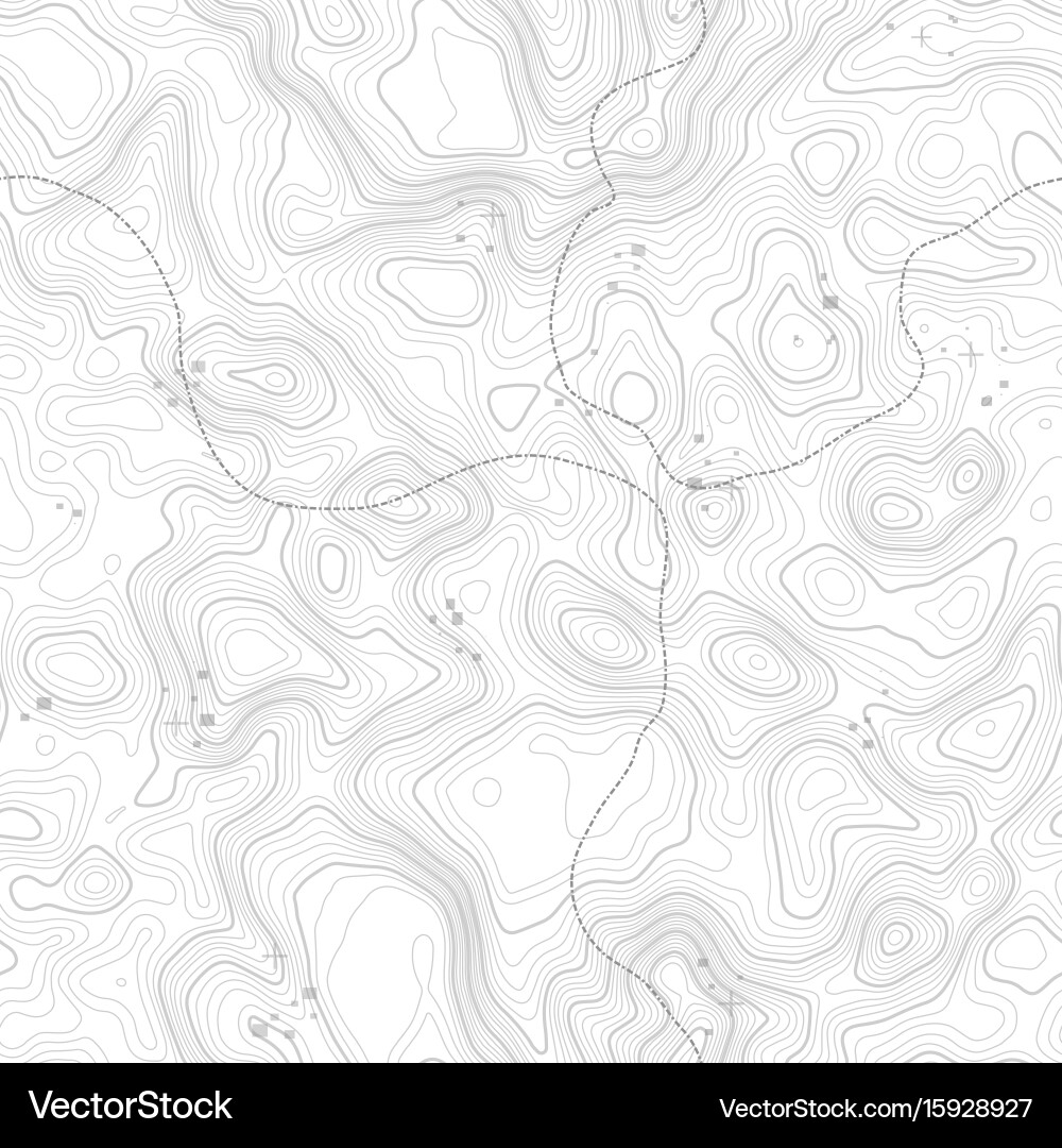 Topographic Map Seamless Pattern Vector Image