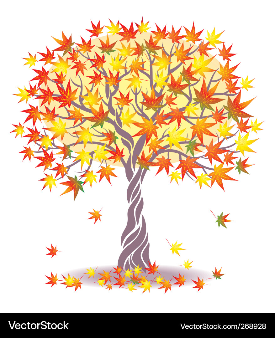 Autumn Maple Tree Vector Image