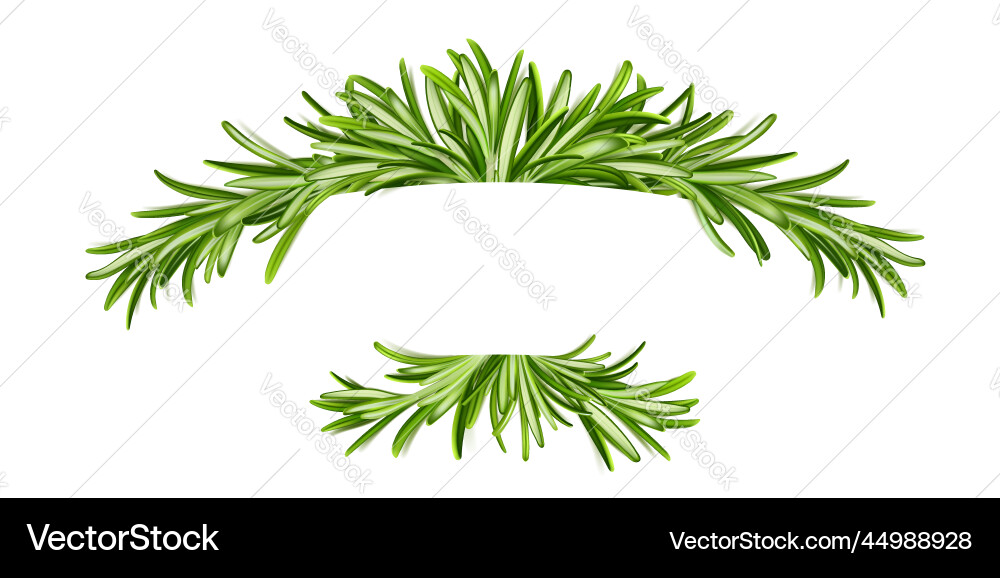 Rosmarin Bannerrahmen mit grünen Blättern Rand Rosmarin Bannerrahmen mit grünen Blättern Rand vektorbild
