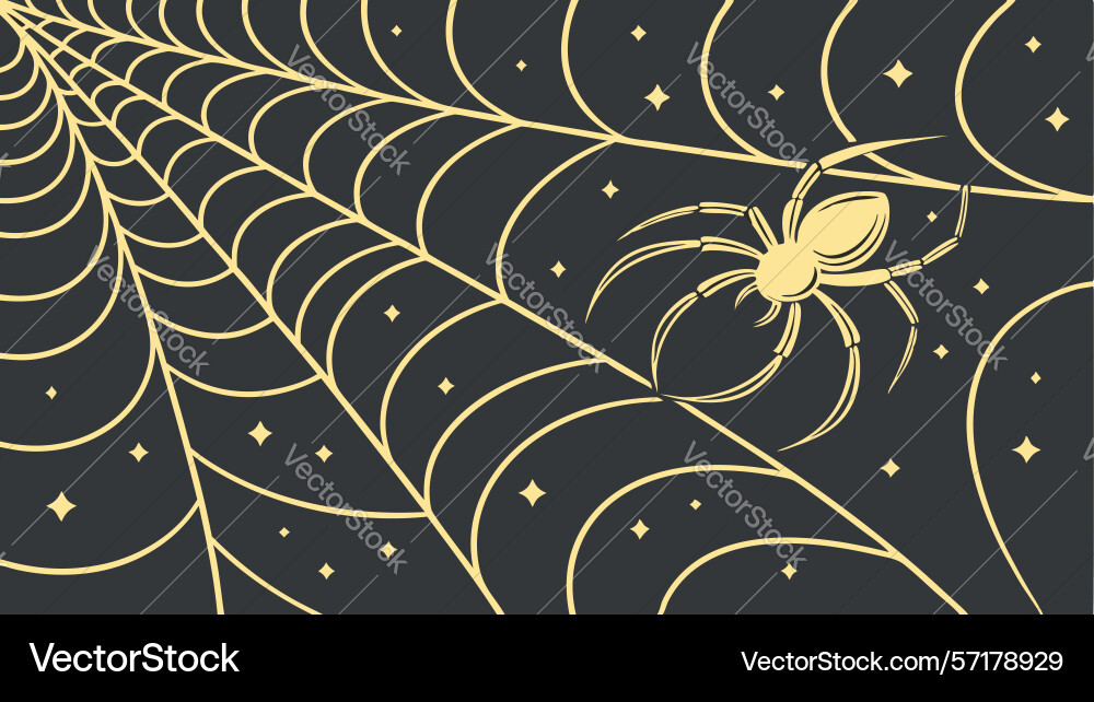 Intricate spider web with realistic design vector image