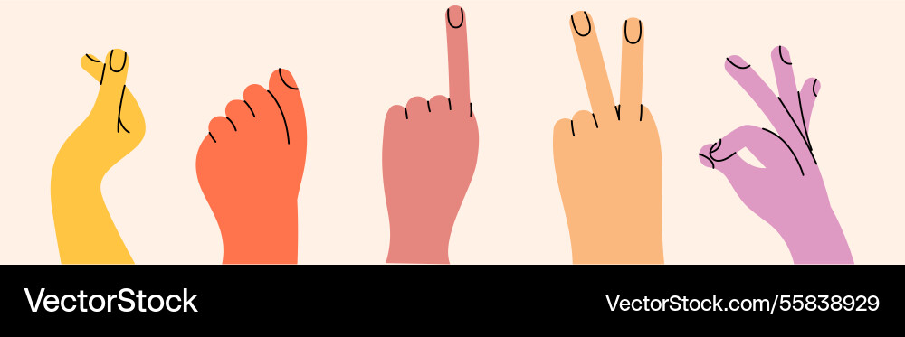 Set of hand gestures in various positions color vector image