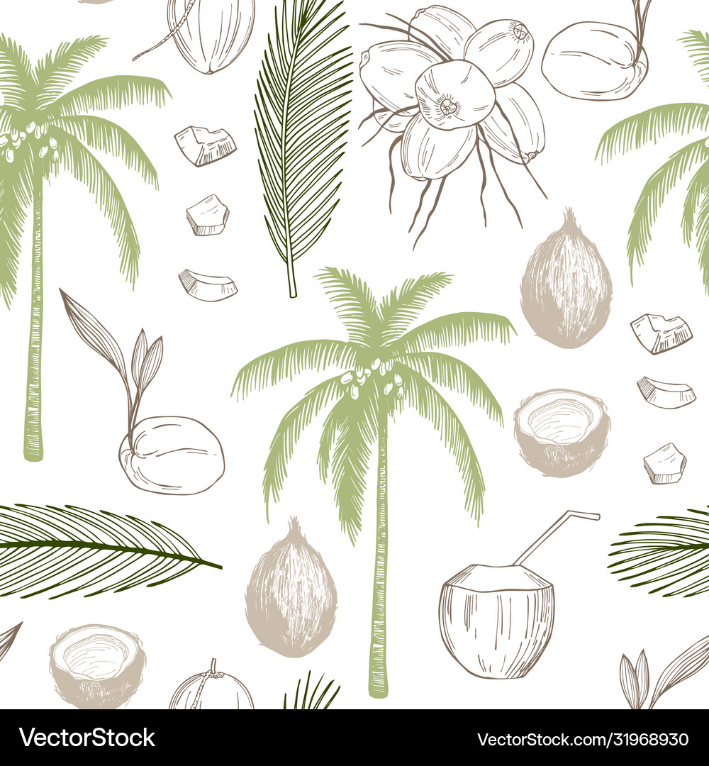 Hand drawn coconuts and palm leaf seamless pattern – Royalty-Free ...