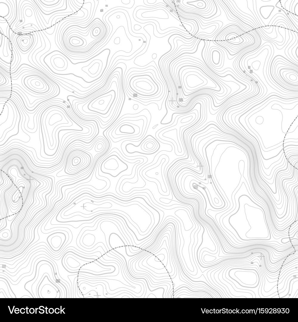 Seamless pattern topographic map background vector image