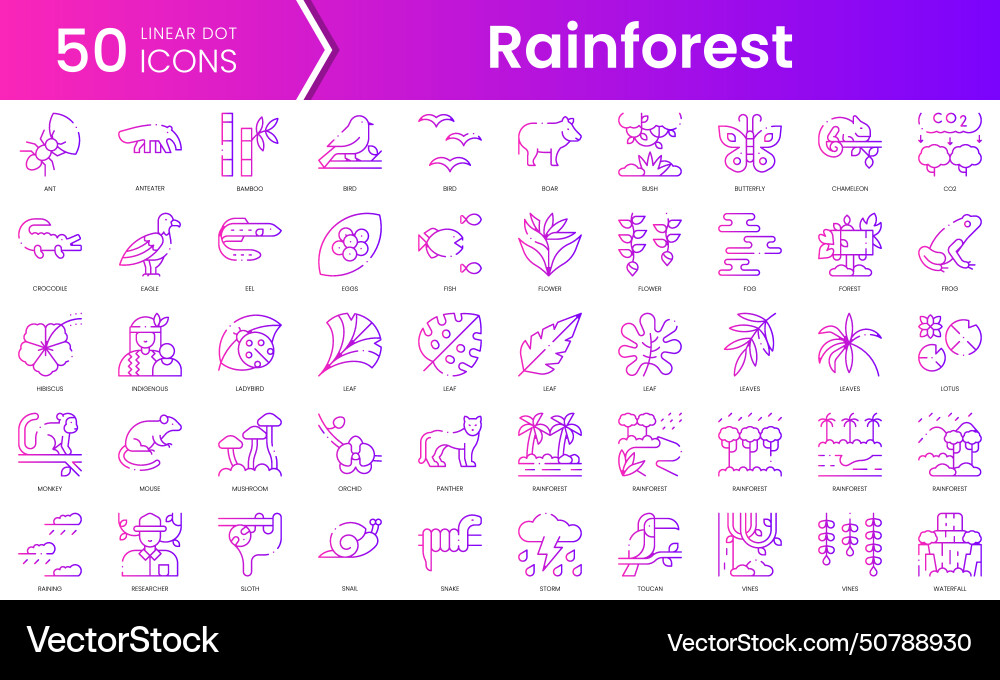 Set of rainforest icons gradient style icon bundle Set of rainforest icons gradient style icon bundle vector image