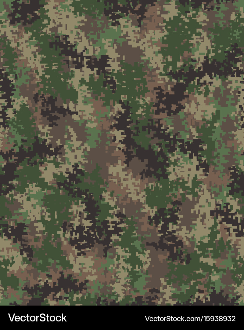 Modern Camouflage Pattern Vector Image