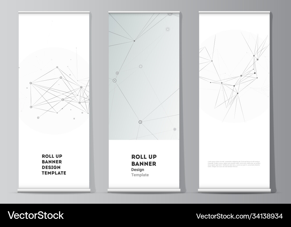 Layout roll up mockup templates vector image