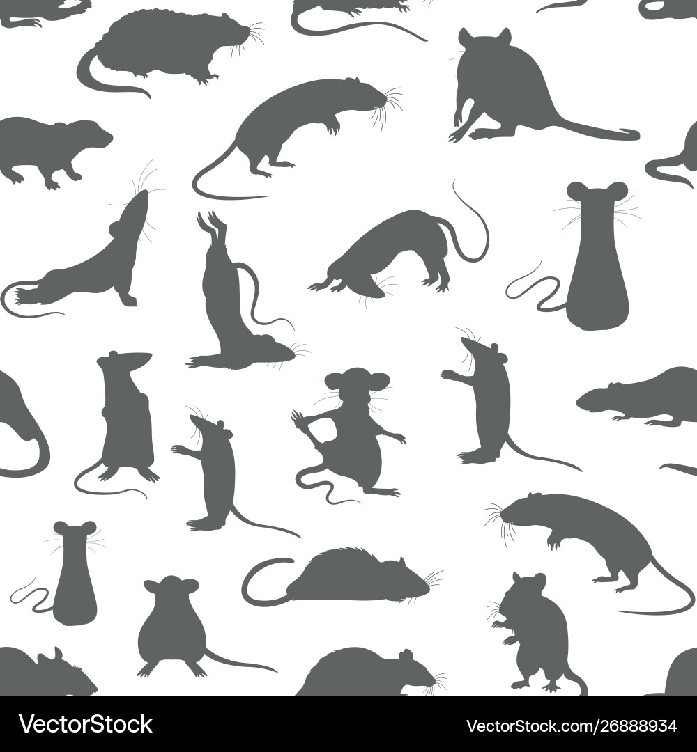 Rats seamless pattern rat poses and exercises Rats seamless pattern rat poses and exercises vector image