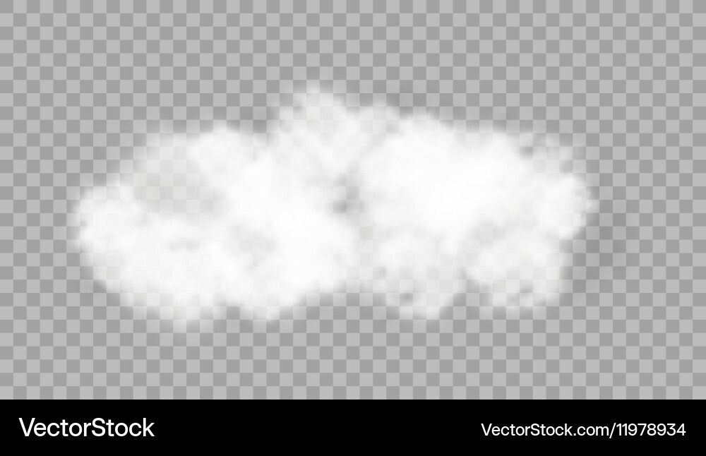 Realistic cloud on transparent background Vector Image