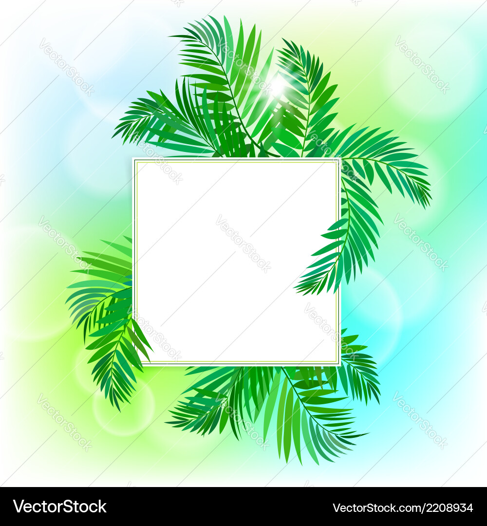 Tropical Palm Card vector image