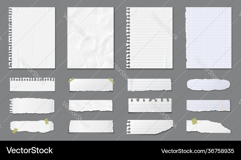 Set different notebook pages and pieces torn Vector Image