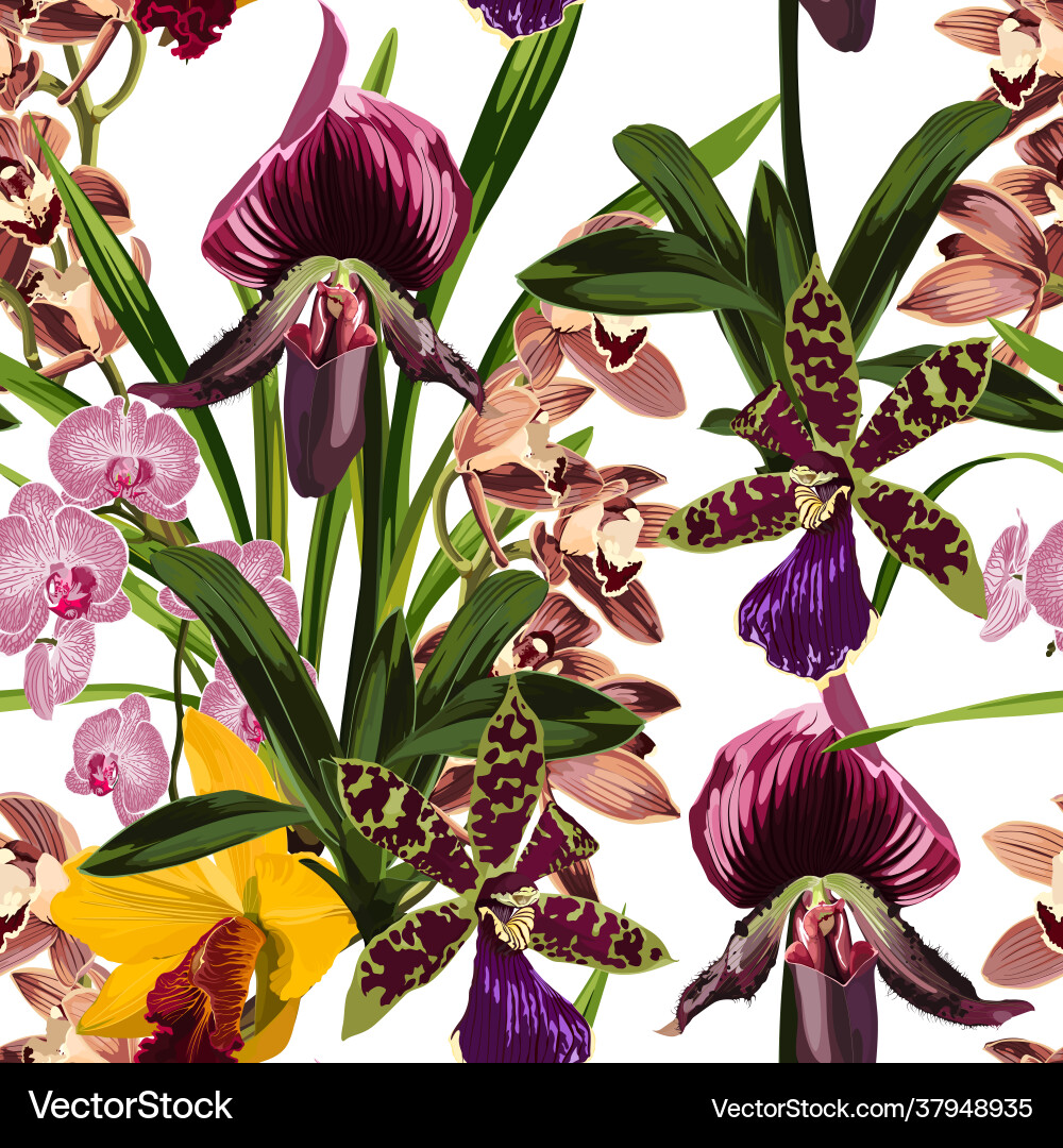 Watercolor Orchid Flowers Pattern Vector Image