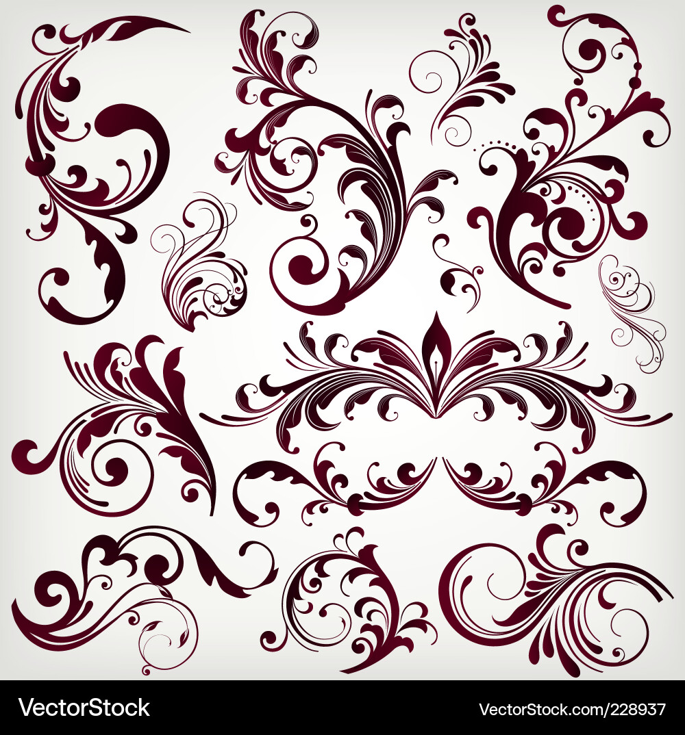 Elegant Floral Swirls Vector Image