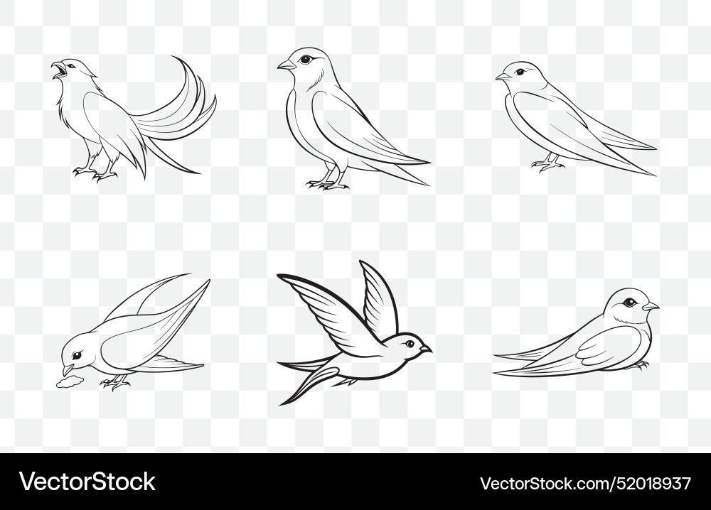 Print elegant swift bird line art set colle Vector Image