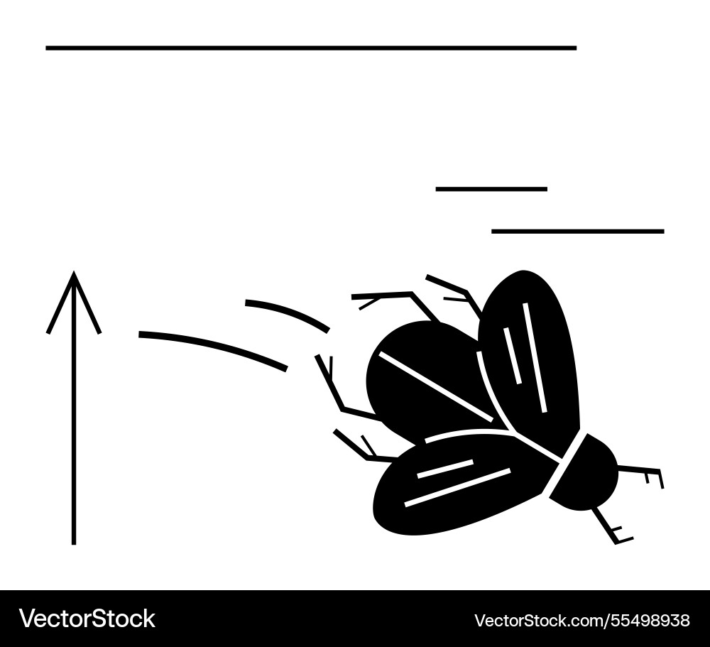 Fly in motion with linear and geometric elements Fly in motion with linear and geometric elements Vector Image