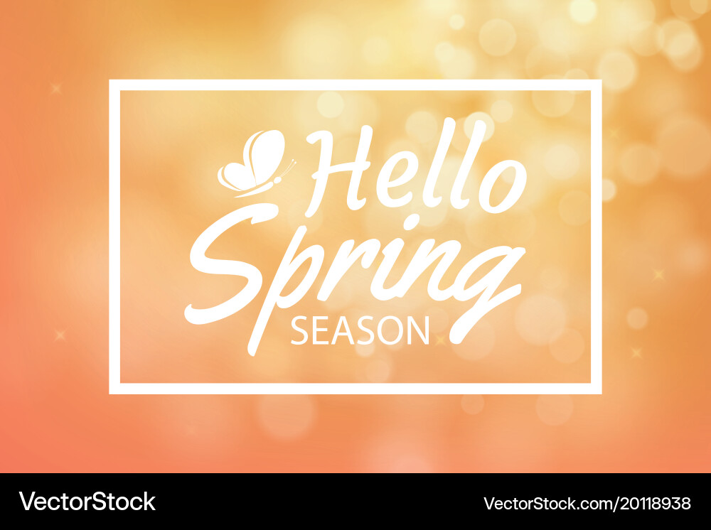 Hello spring on orange bokeh background greeting vector image