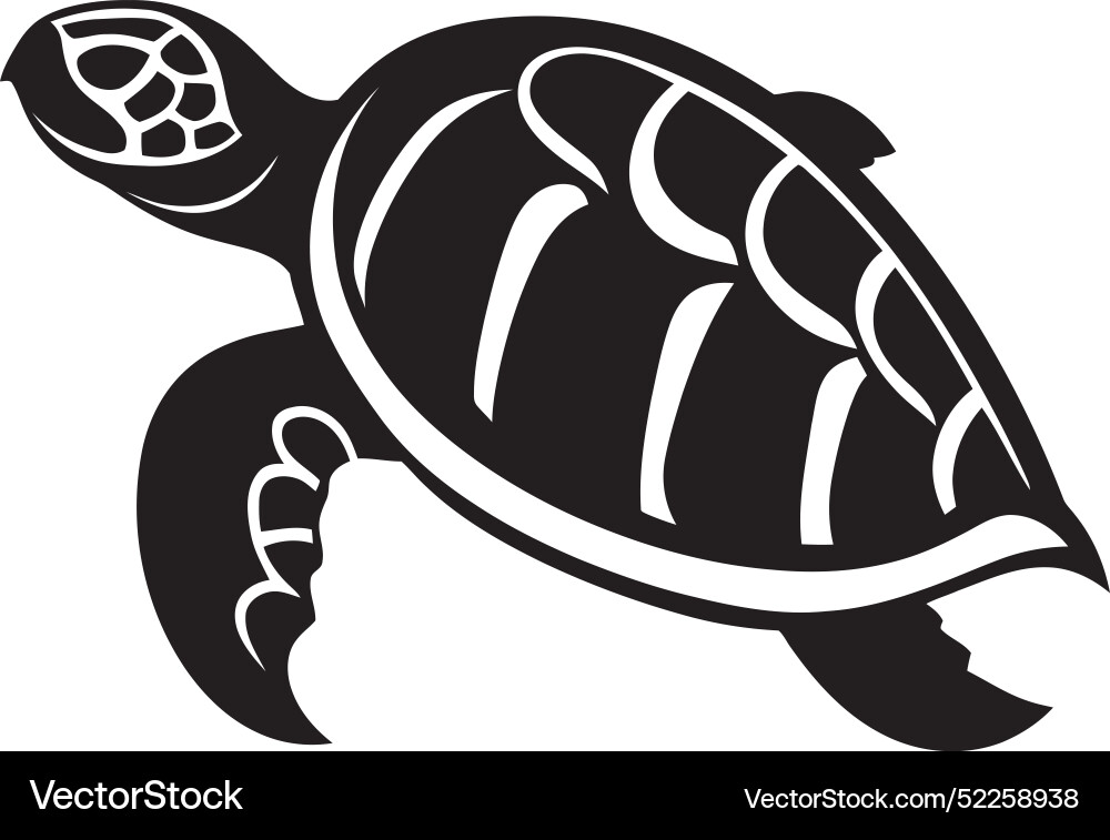 Stylish black turtle shell pattern of a moder Vector Image