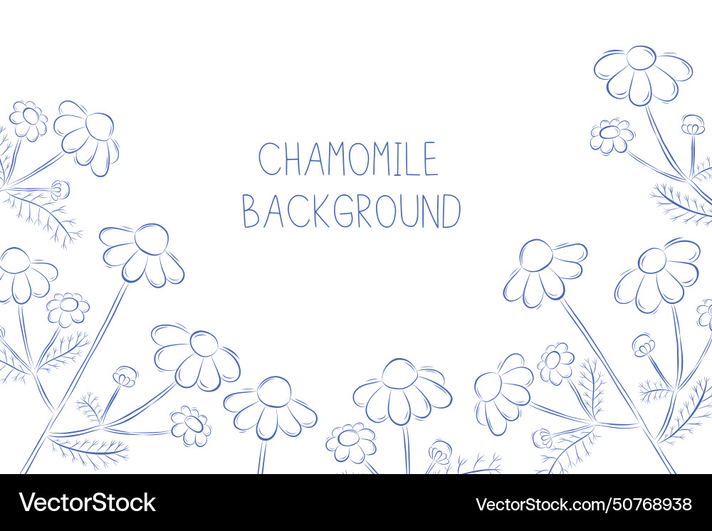 White background with chamomiles frame and copy White background with chamomiles frame and copy Vector Image
