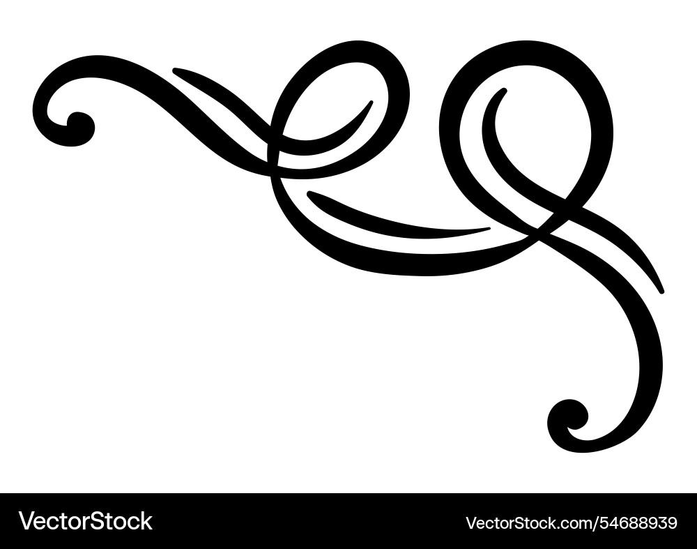 Vignette curl element decorative calligraphic Vignette curl element decorative calligraphic vector image