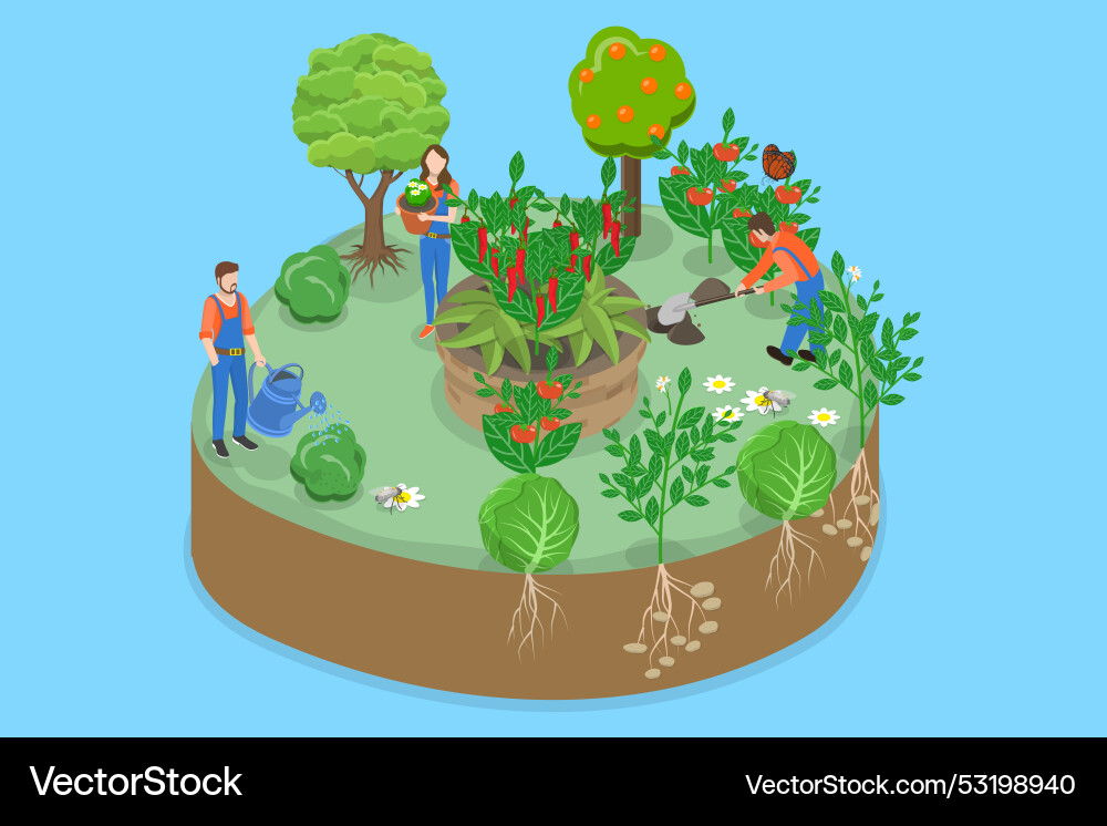 3d isometric flat Royalty Free Vector Image - VectorStock