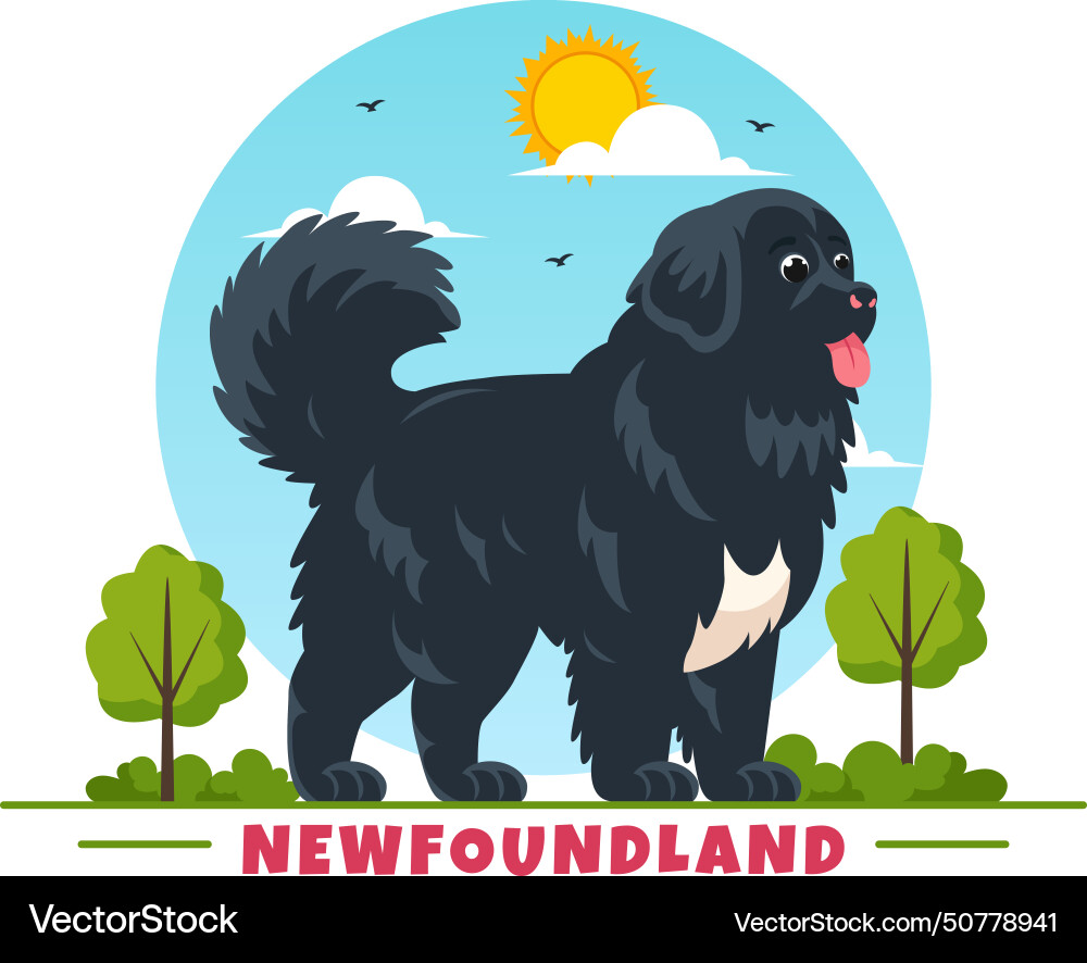 Newfoundland dog animals with black brown vector image