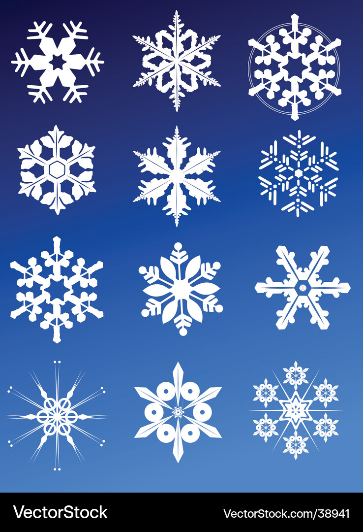 Twelve snowflakes Vector Image