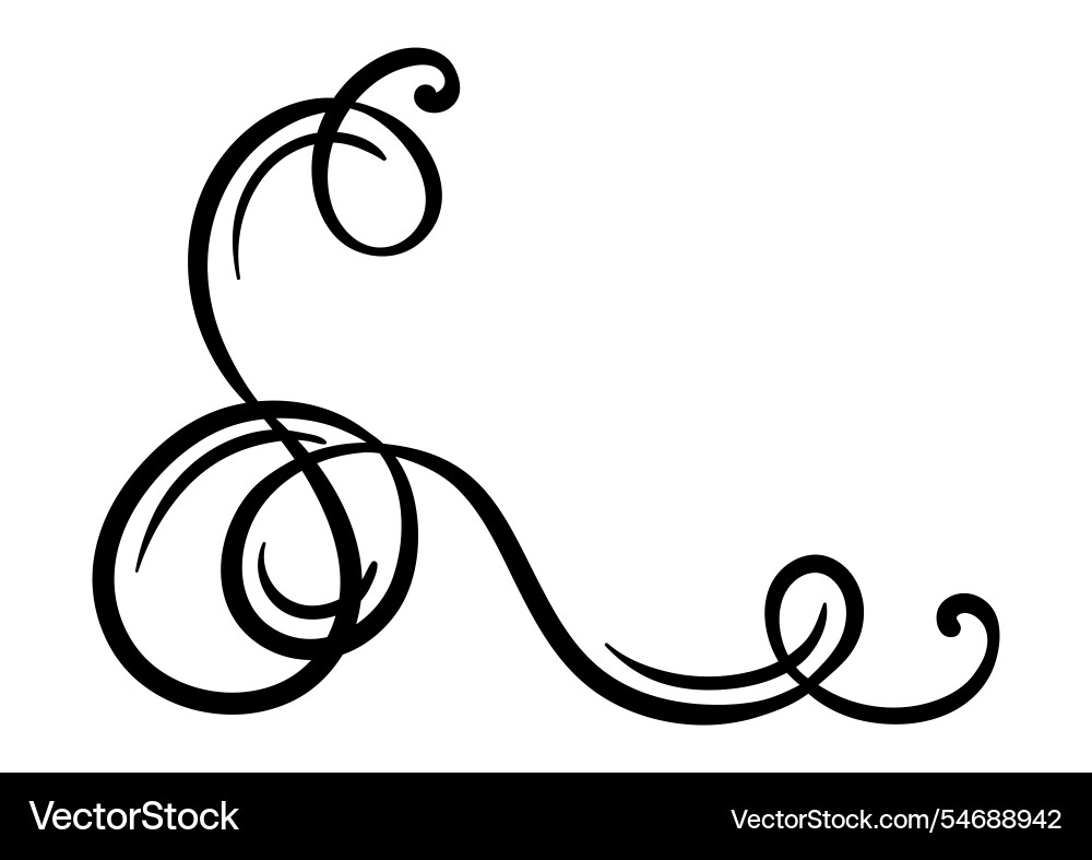 Vignette curl element decorative calligraphic vector image