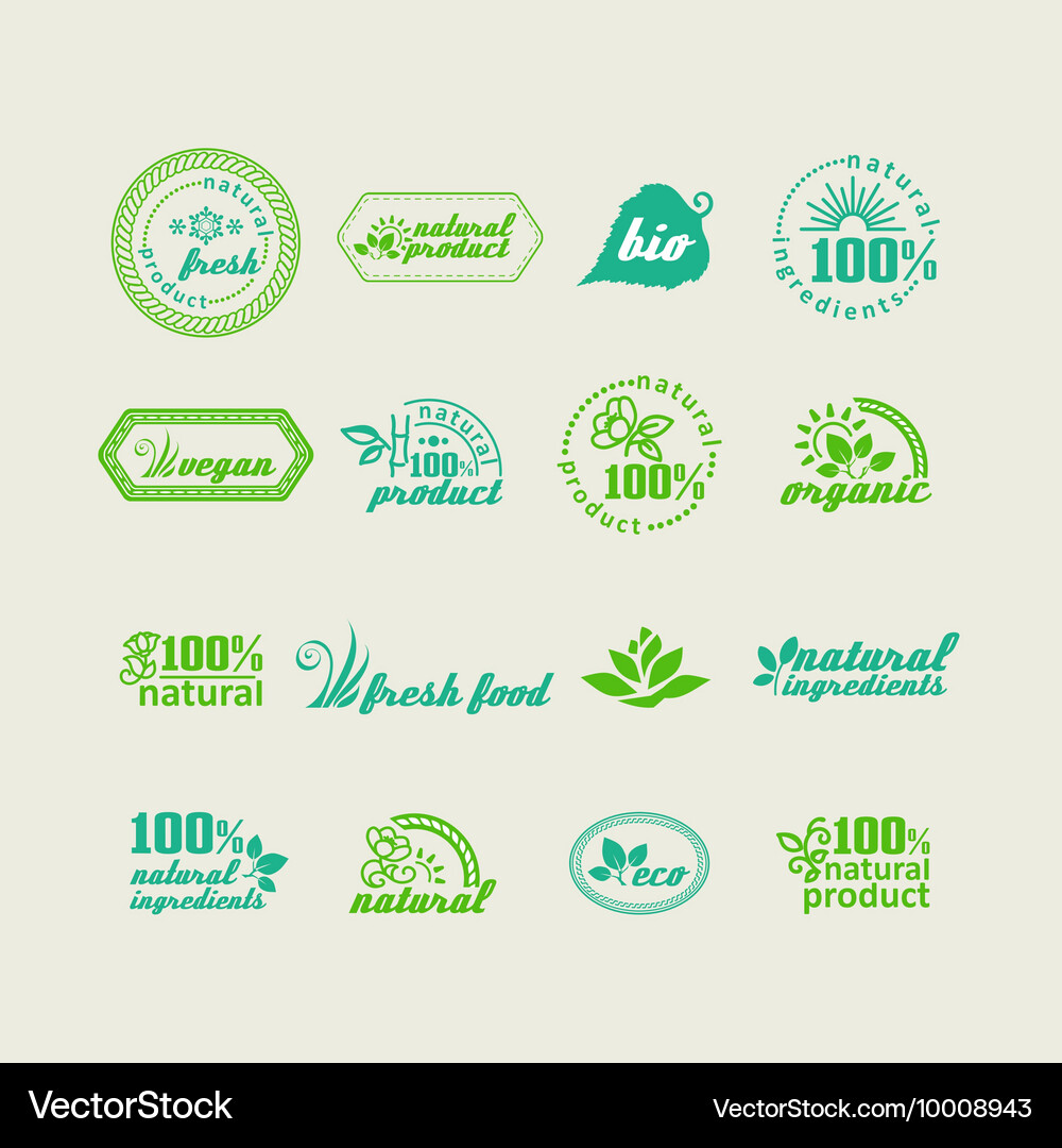 Set of elements for design Vector Image