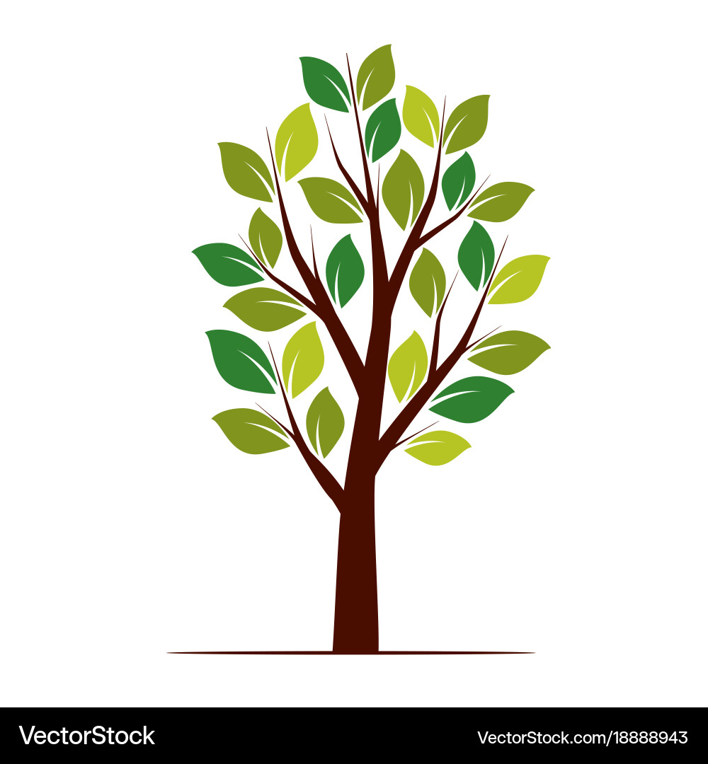 Spring tree Vector Image