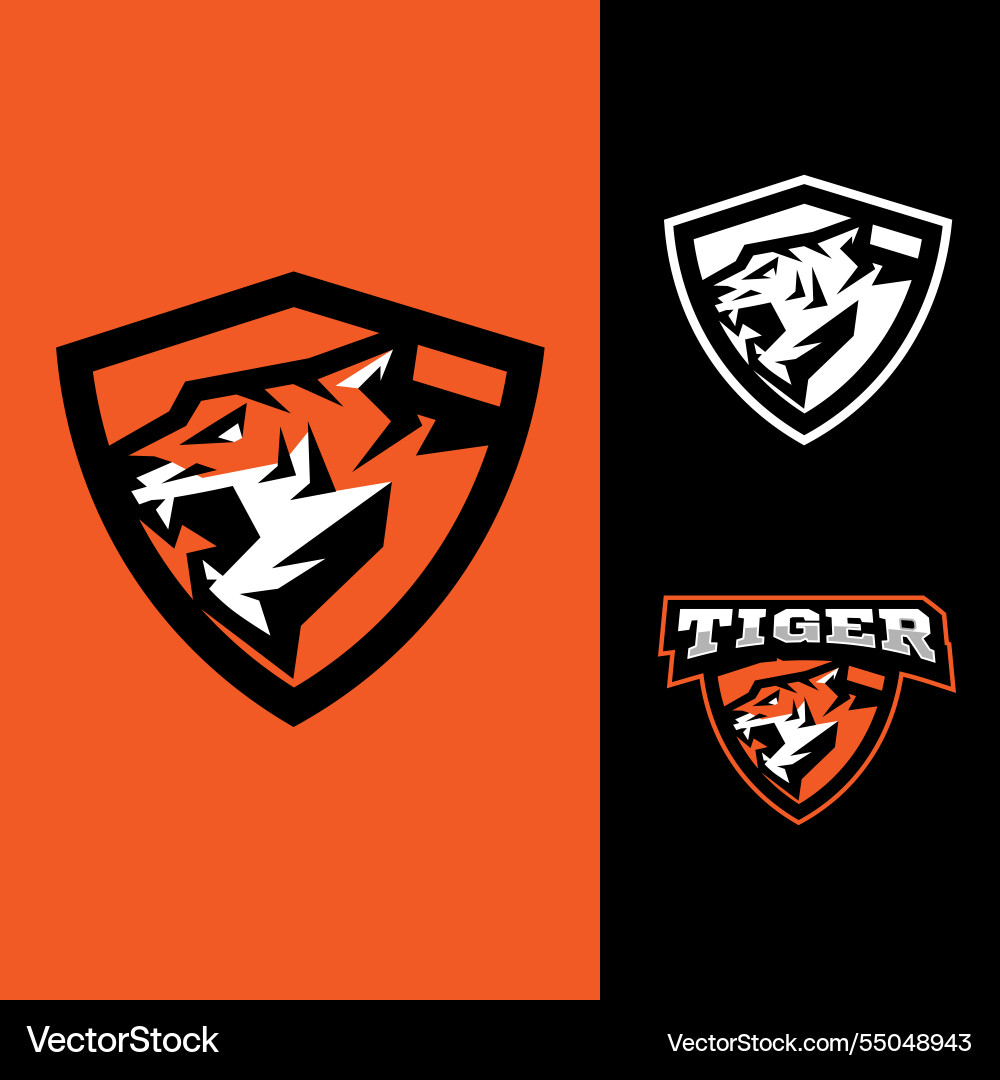 Tiger head in shield Tiger head in shield vector image