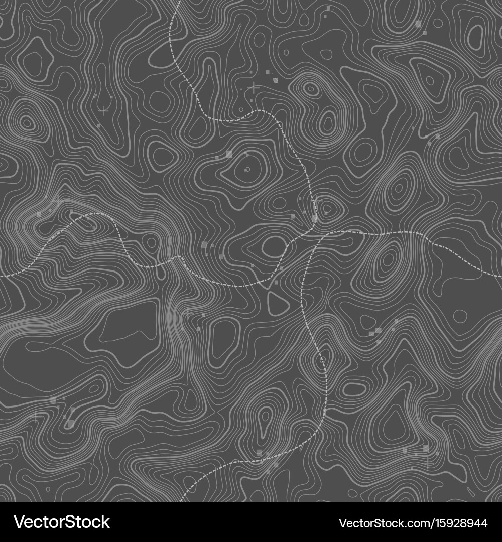Seamless pattern topographic map background vector image