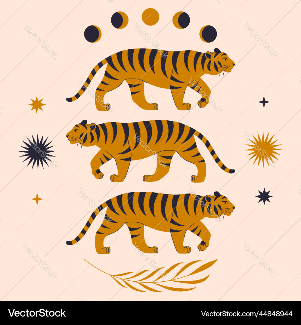 Tigers with magic elements vector image