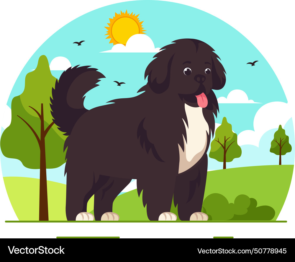 Newfoundland dog animals with black brown Newfoundland dog animals with black brown vector image