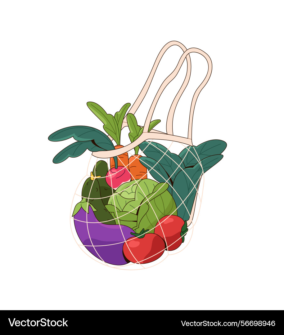 Different fresh vegetables in mesh net or string vector image