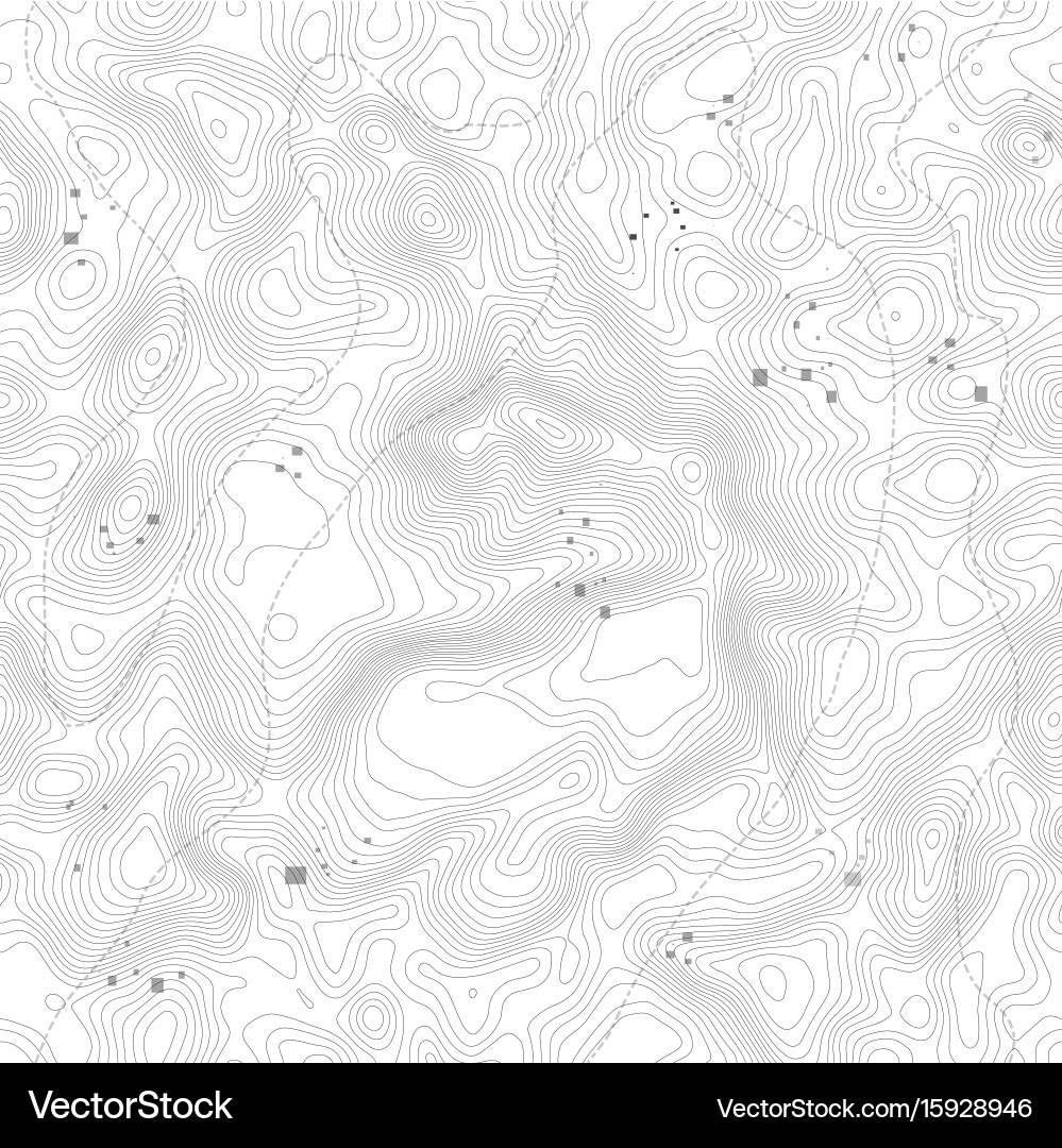 Seamless pattern topographic map background vector image