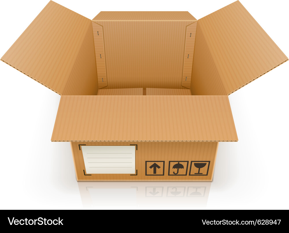 Empty Cardboard Box vector image