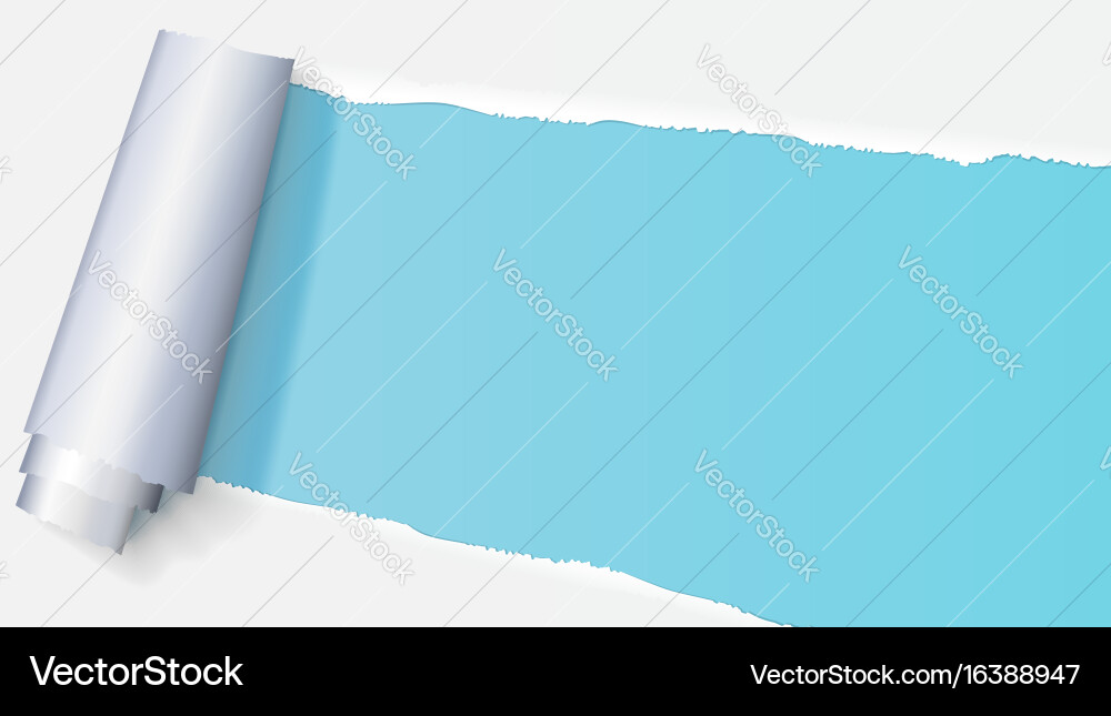 Realistic torn open paper with space for text vector image