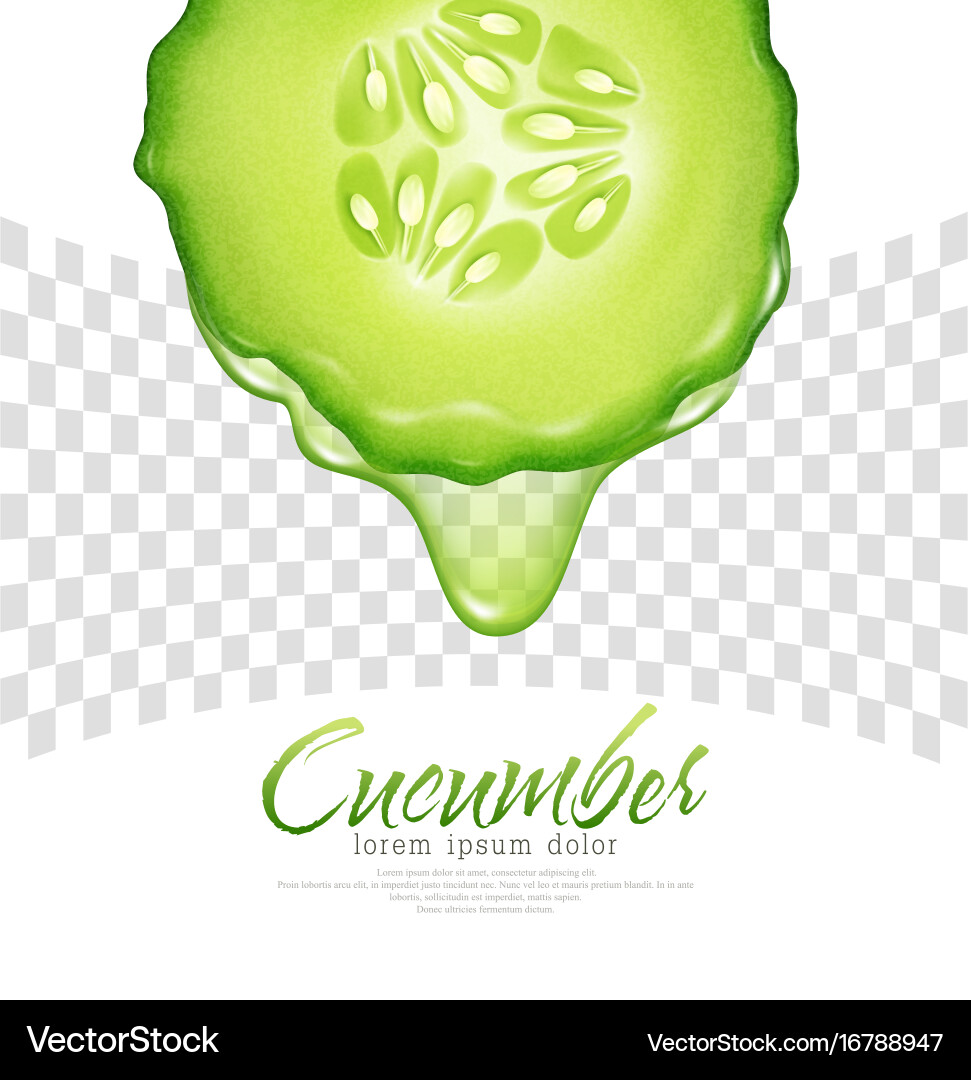 Slice of cucumber with a transparent dripping vector image