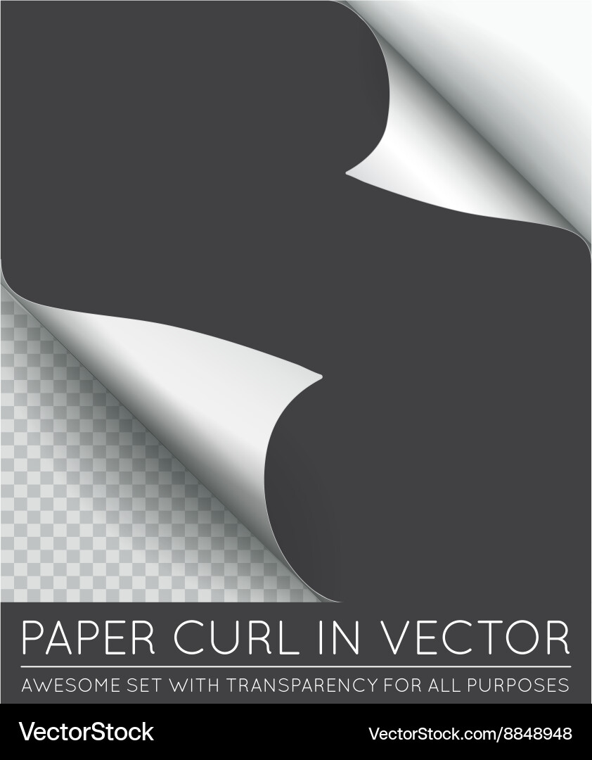 Paper page curl with shadow isolated vector image
