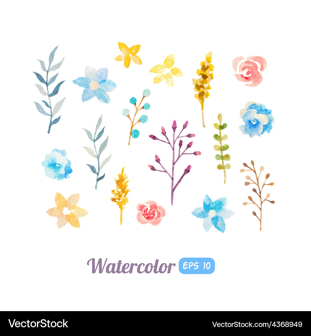 Watercolor Floral Collection Vector Image