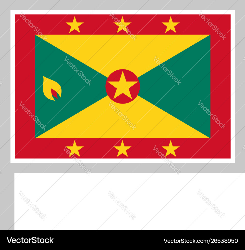 Flag on flagpole rectangular shape icon white Flag on flagpole rectangular shape icon white Vector Image