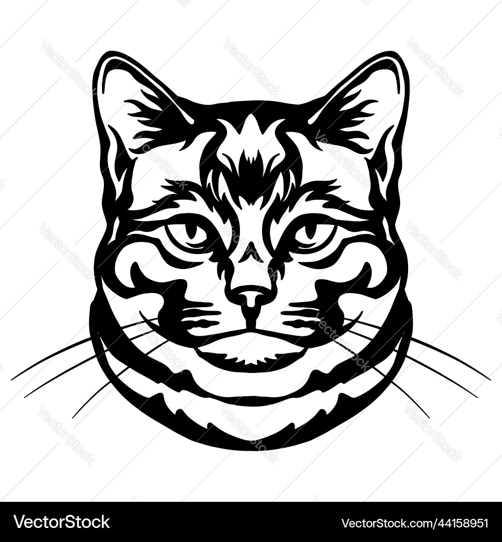 Abstract portrait of a cat black contour vector image