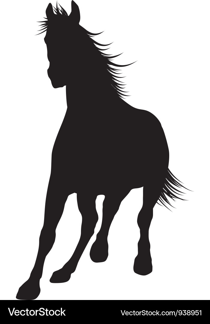 Horse Silhouette Vector Image