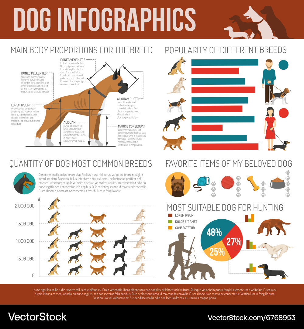 Dog Breed Infographics Set Vector Image